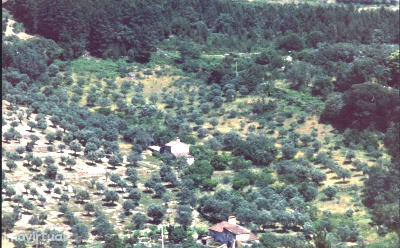 Portalegre , ótima localização Covões _Lagem-Covas de Belém - Grande imagem: 4/17