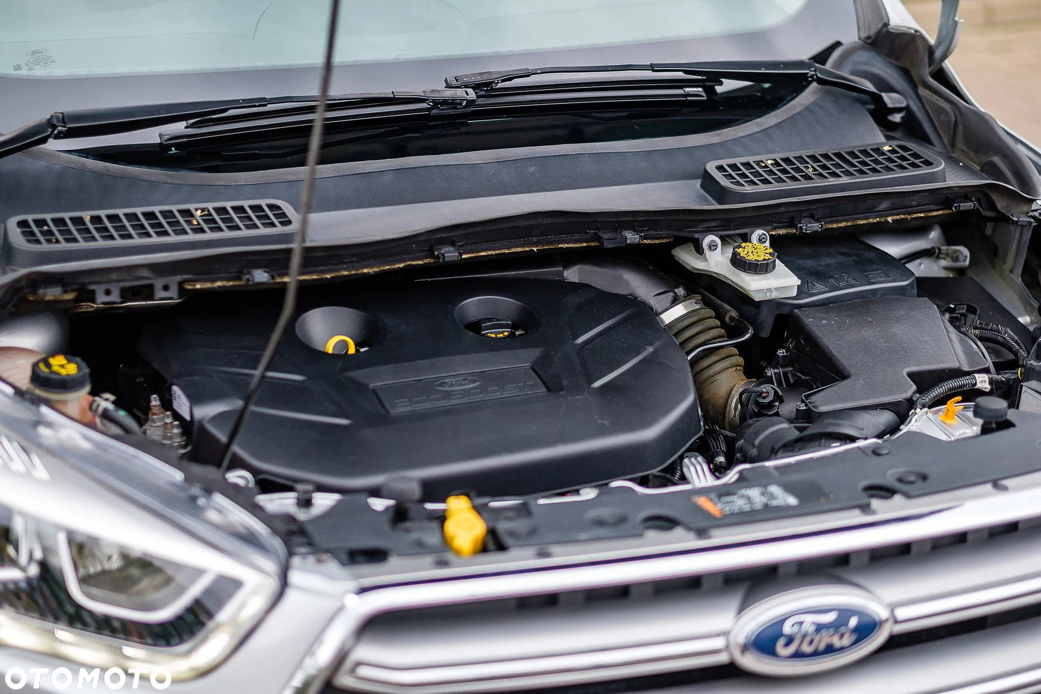 Ford Kuga - 5
