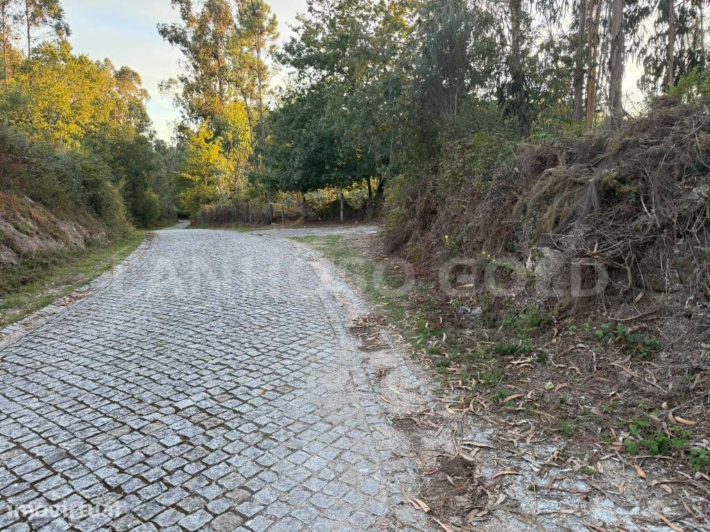 Terreno Agrícola com quase 8.000 m² em Batocas, Serzedelo - Póvoa d... - Grande imagem: 2/15