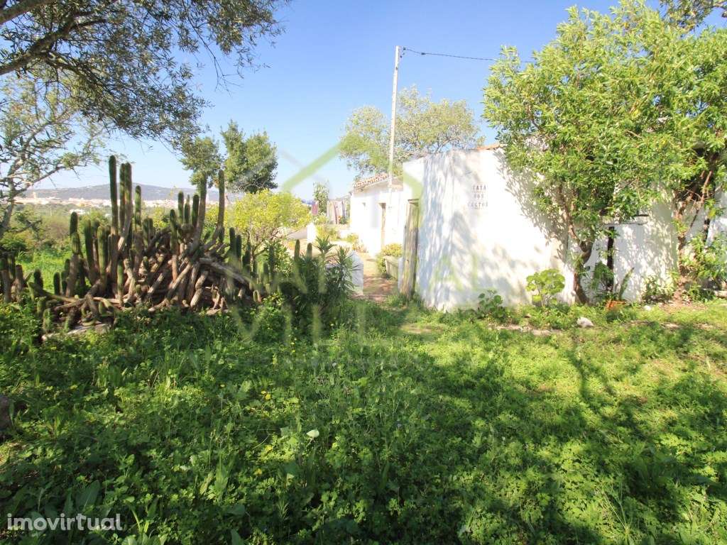 Casa Tradicional T2 com Vista Panorâmica em São Brás de Alportel - Grande imagem: 4/6