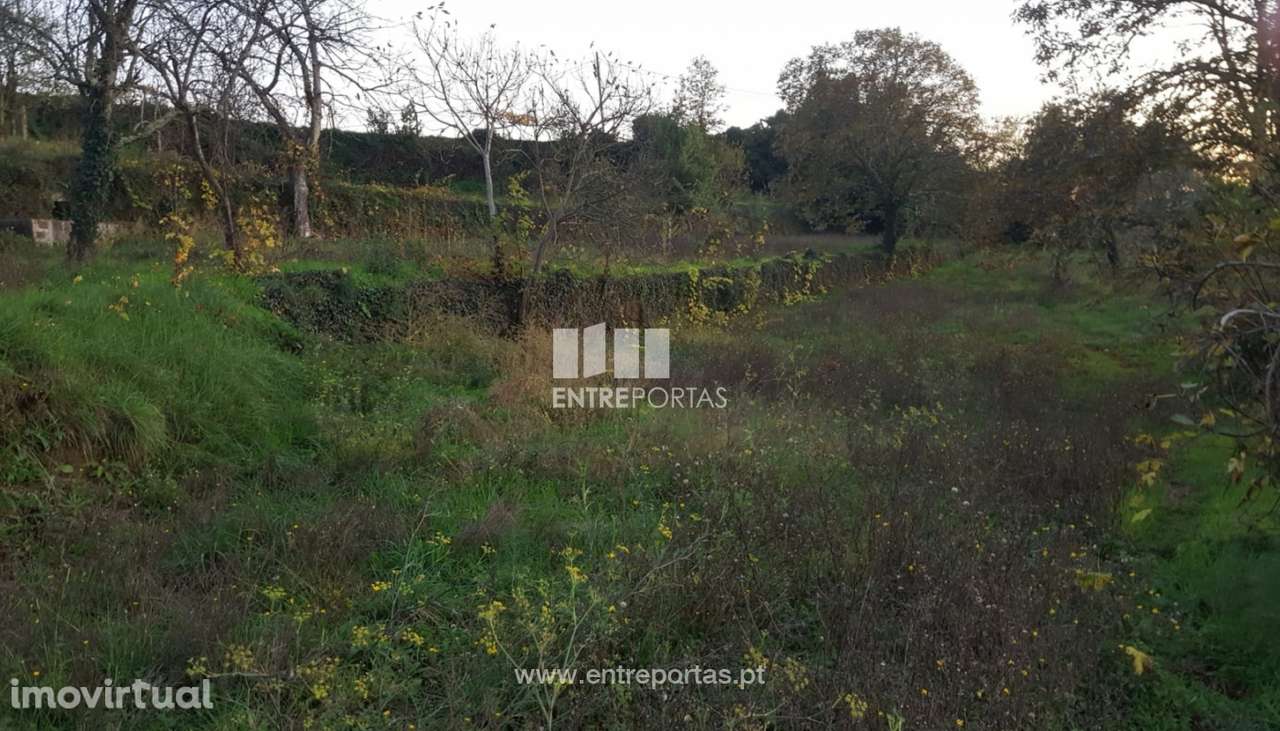 Venda de Terreno com área de 12740 m2, Souselo, Cinfães - Grande imagem: 2/23