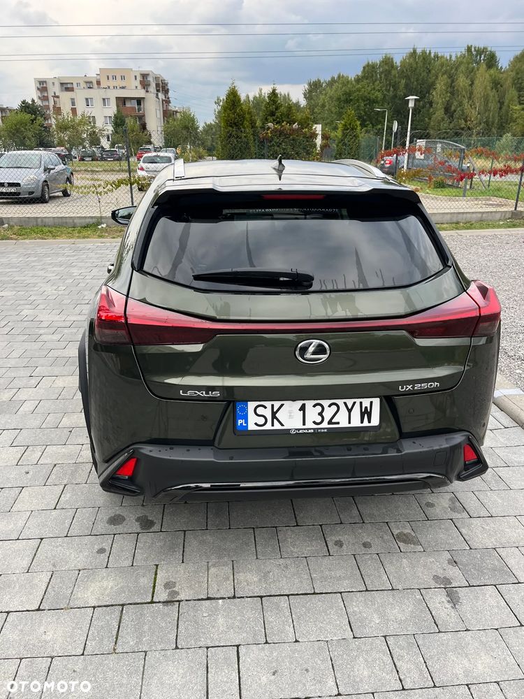 Lexus UX 250h GPF F Sport Design+ 2WD - 2