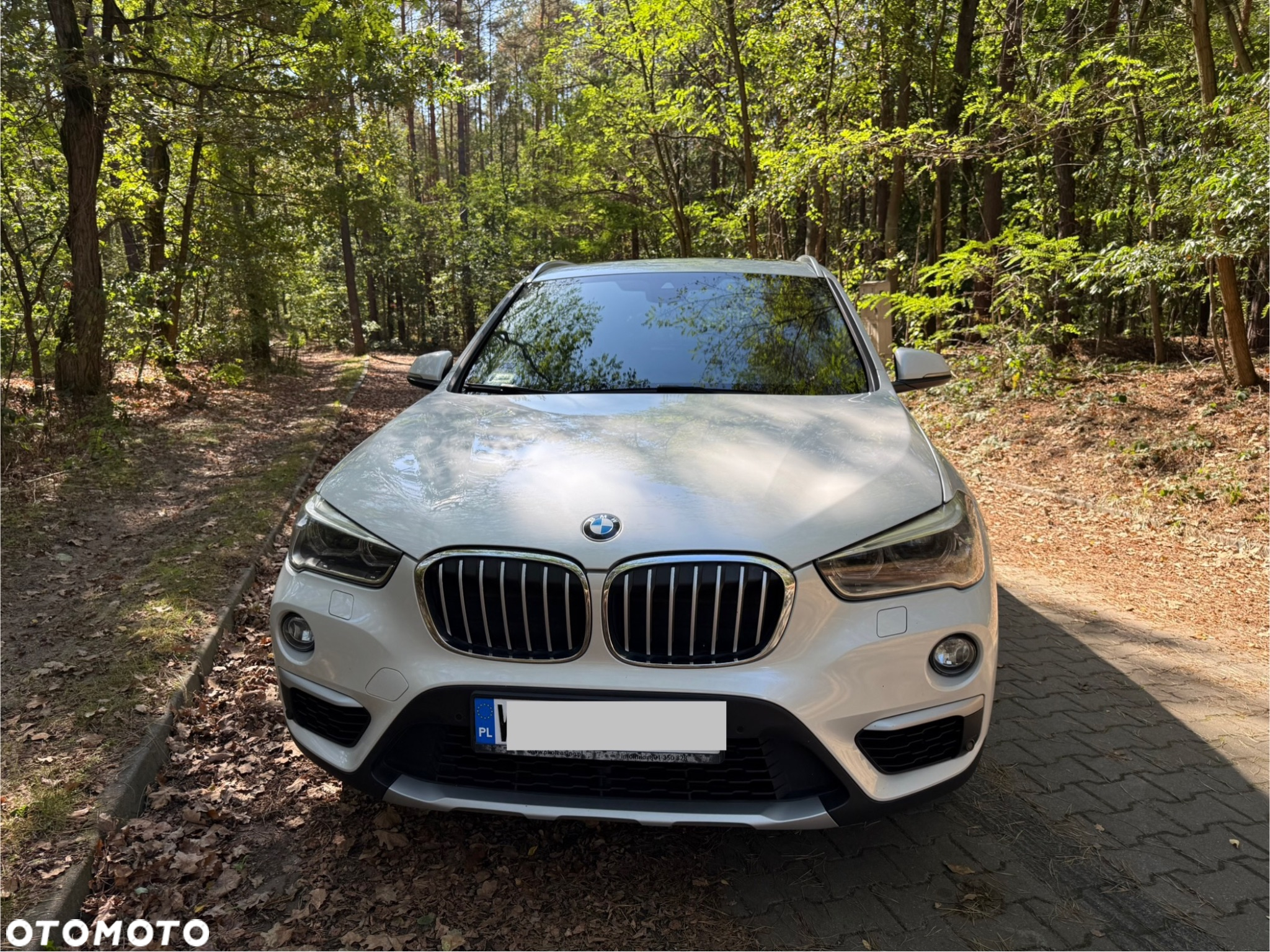 BMW X1 xDrive20i xLine - 9