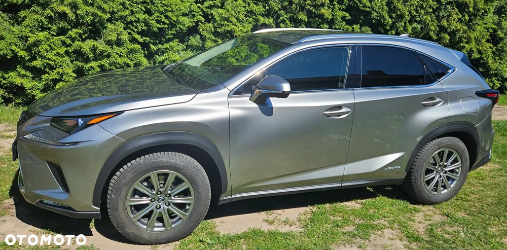 Lexus NX 300h Comfort AWD - 8