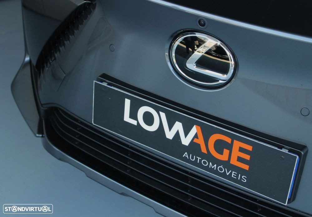 Lexus rz-300e Premium - 32