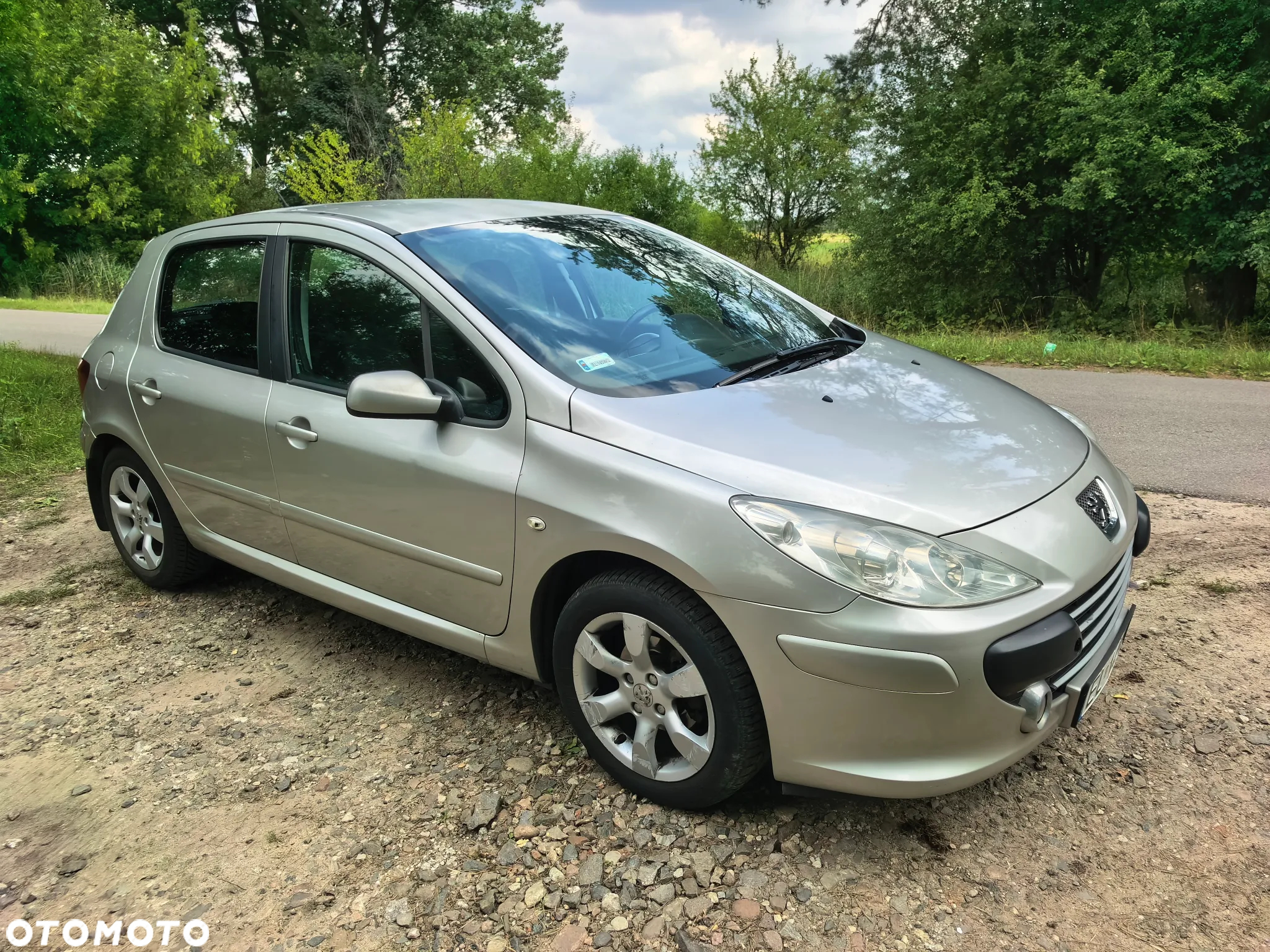 Peugeot 307 1.6 Oxygene - 16