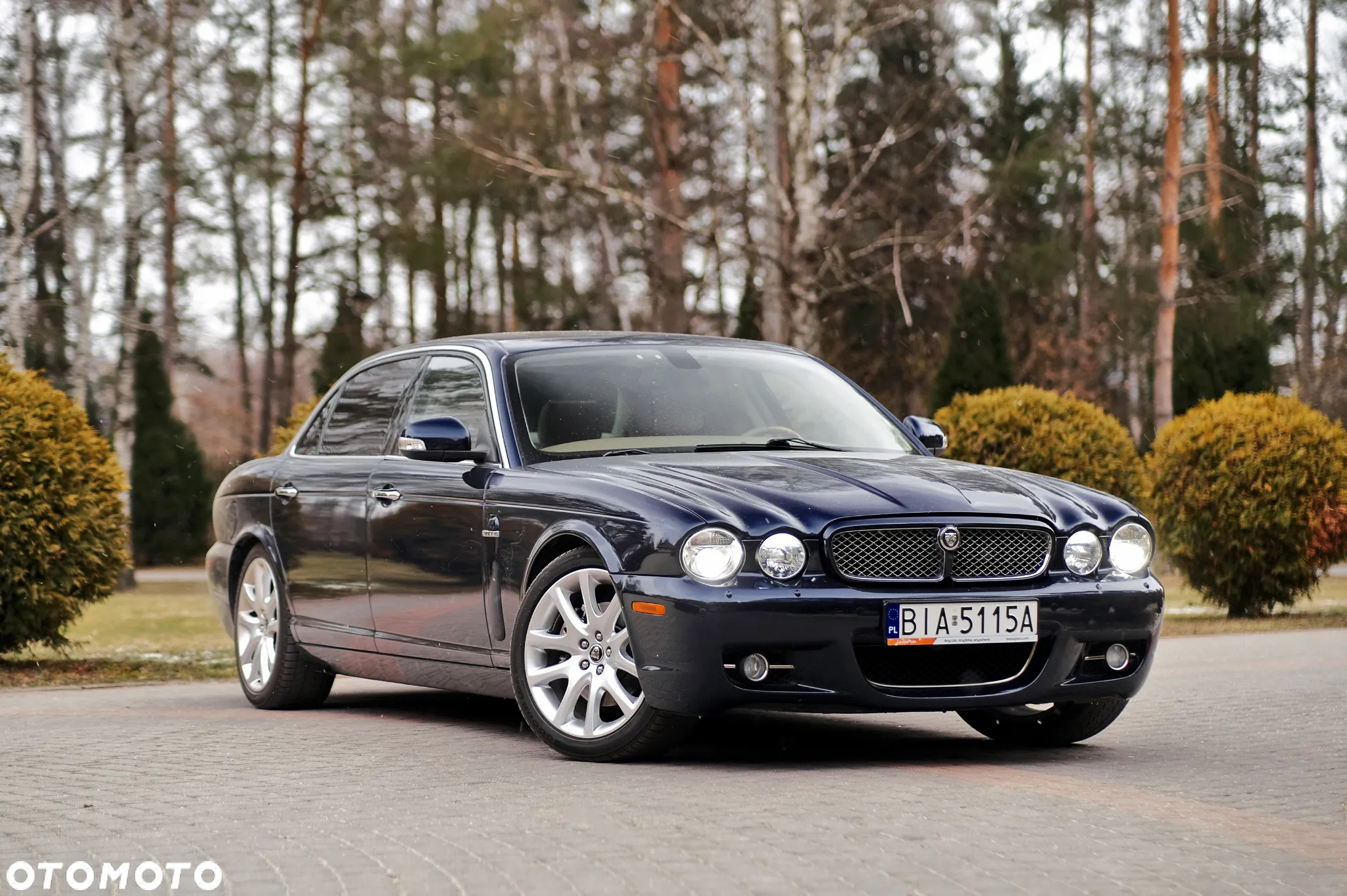 Jaguar XJ XJ8 4.2 LWB Executive - 2
