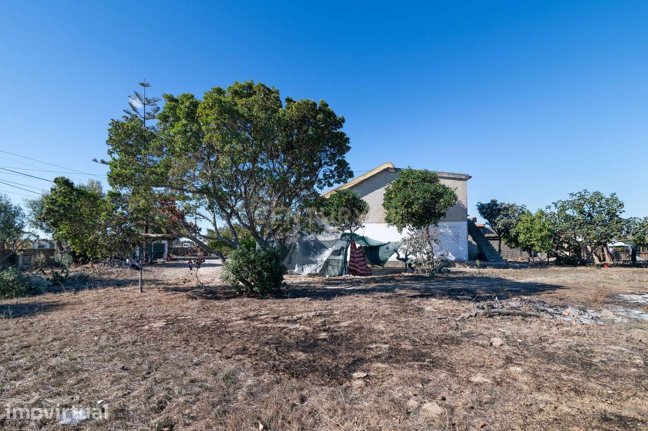 Quinta T4 com 7.981 m² de Terreno e Potencial Único | Montijo - Grande imagem: 5/25