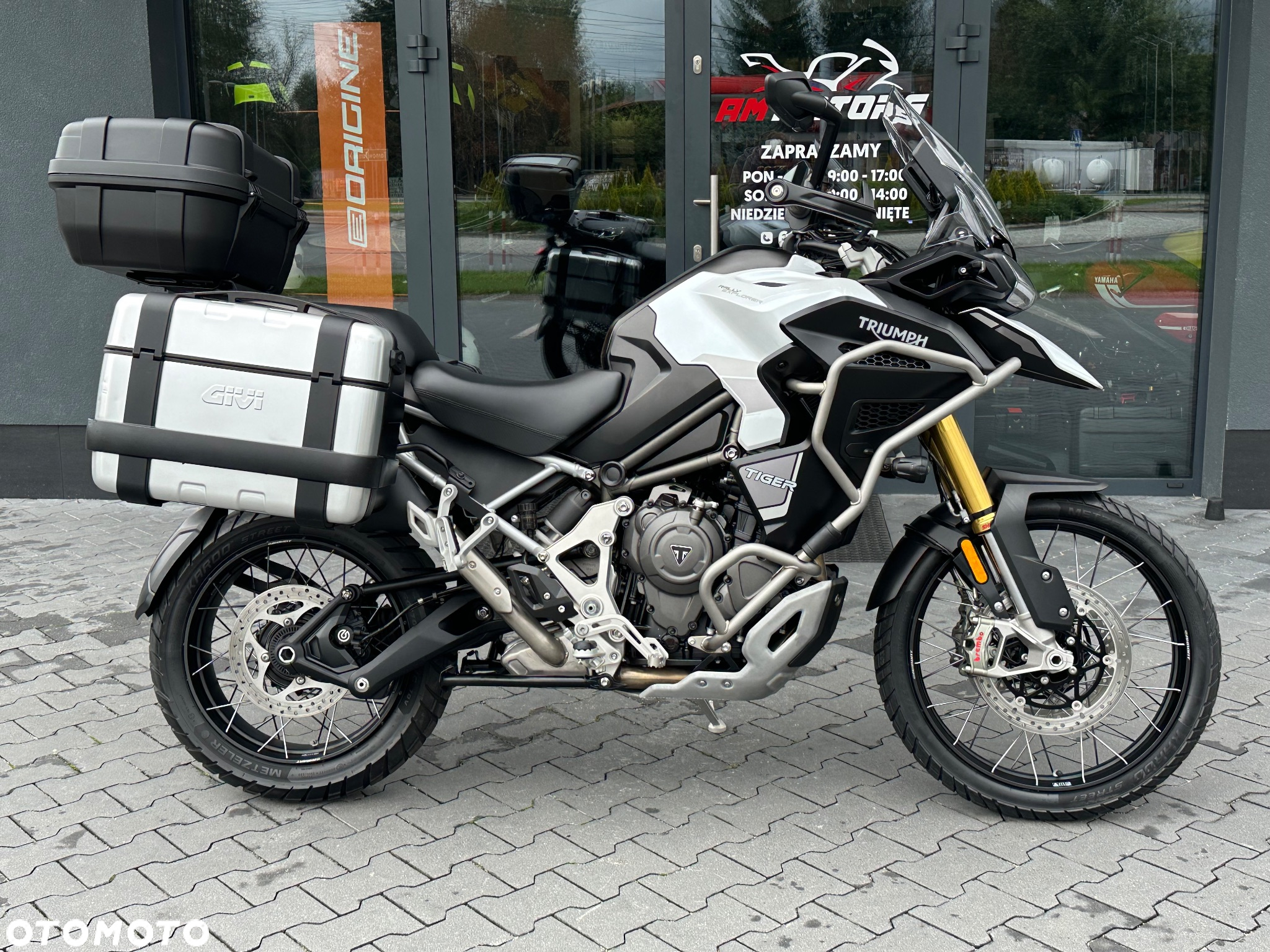 Triumph Tiger - 3