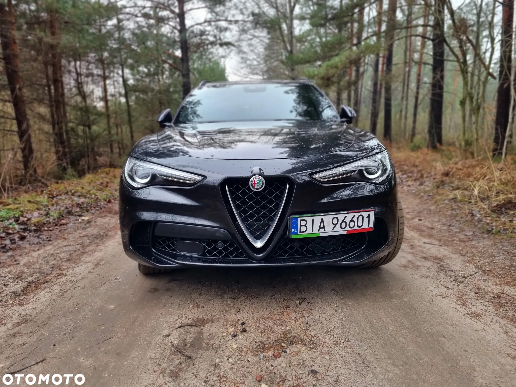 Alfa Romeo Stelvio 2.9 V6 Bi-Turbo Quadrifoglio Q4 - 4