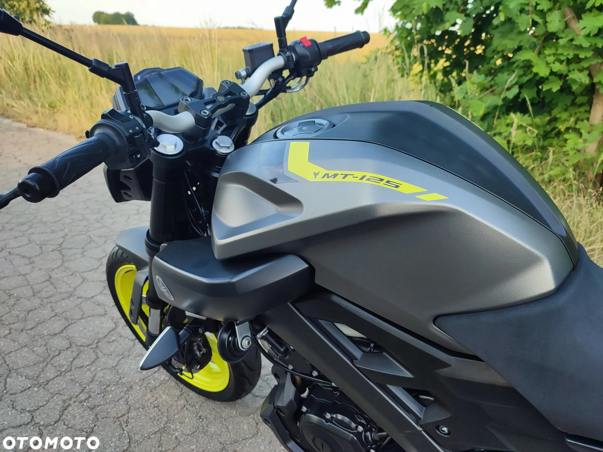 Yamaha MT - 8