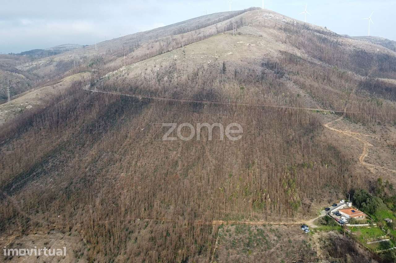 Terreno florestal urbanizável com 42.000 m2 - Rio Mau, Penafiel - Grande imagem: 3/12