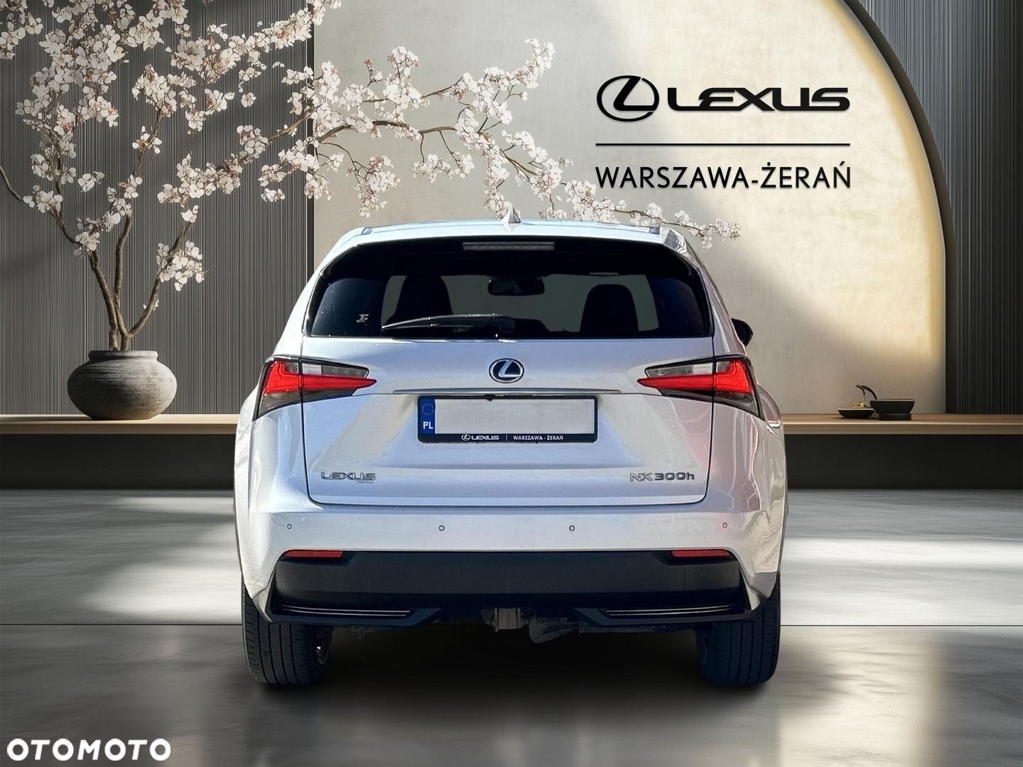 Lexus NX 300h F Sport AWD - 6
