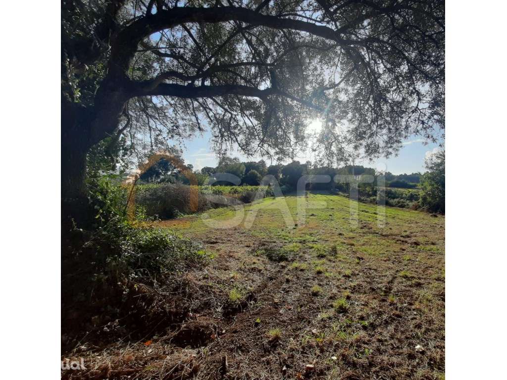 Terreno construtivo em Mazedo - Grande imagem: 2/4