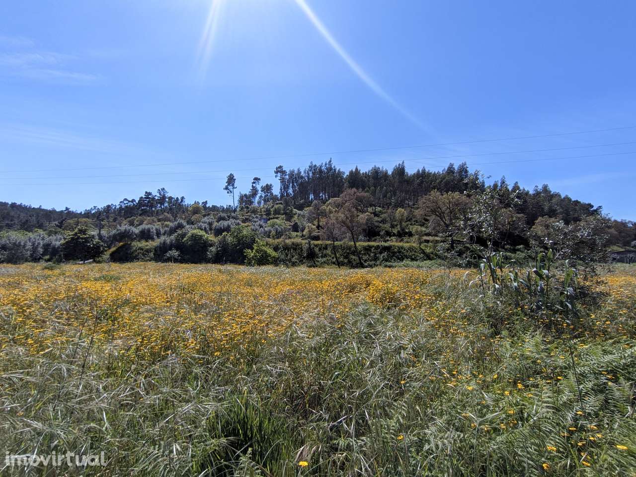 Moradia Devoluta  Venda em Aldeia do Mato e Souto,Abrantes - Grande imagem: 2/24