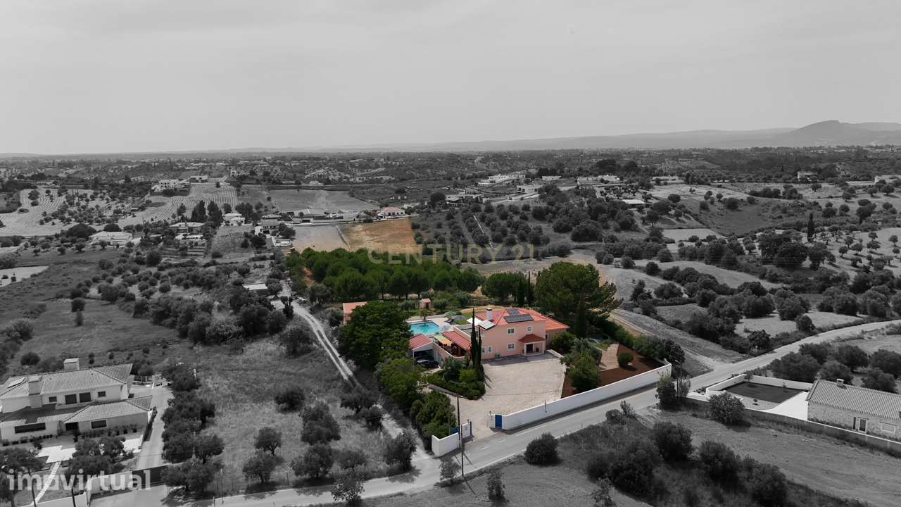 Propriedade Única com Piscina, Lago e Produção de Azeite - Grande imagem: 3/51
