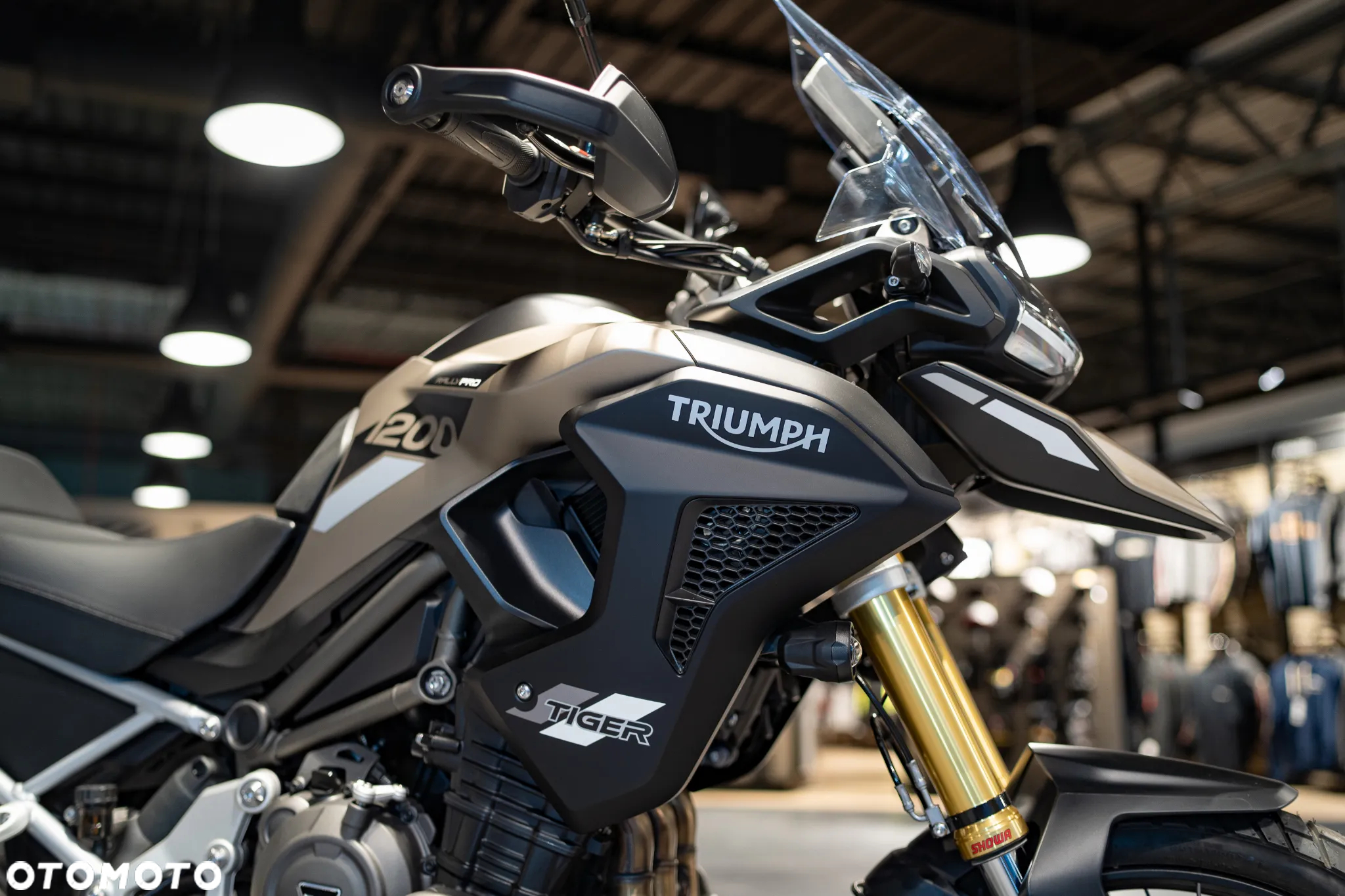 Triumph Tiger - 16
