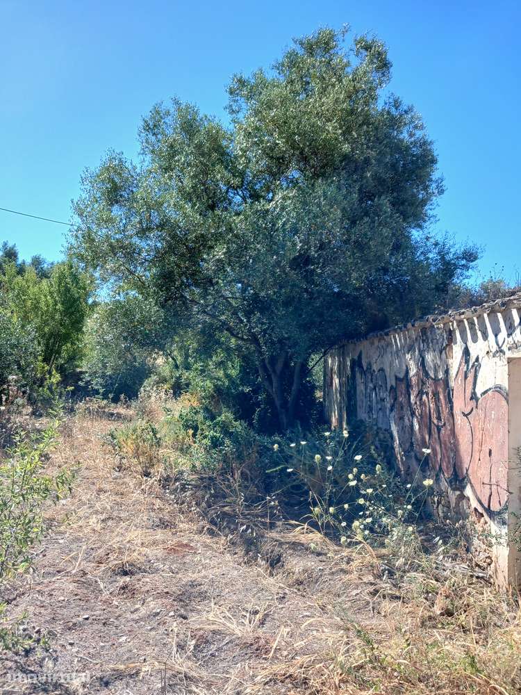 Terreno em Loule - Grande imagem: 5/7