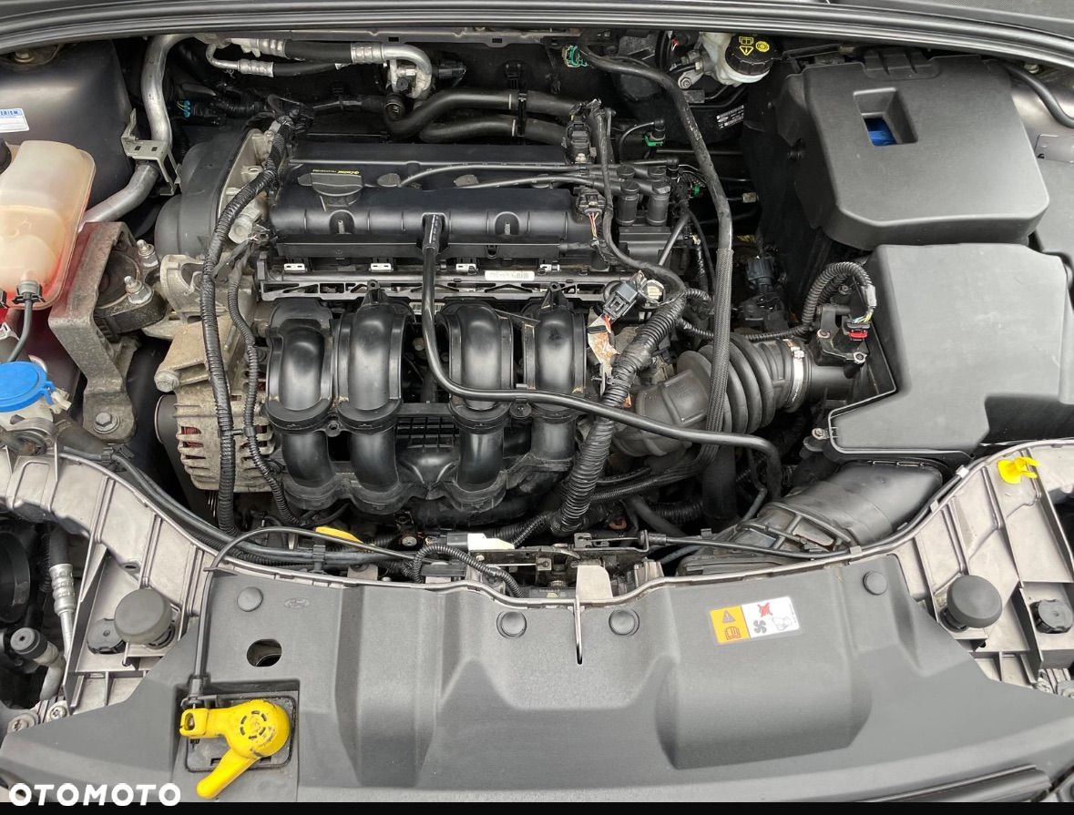 Ford Focus 1.6 TI-VCT Trend - 14