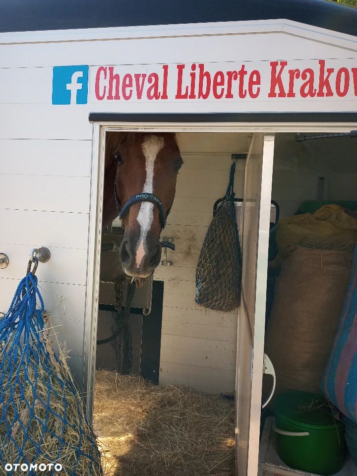 Cheval Liberte MultiMax - 5