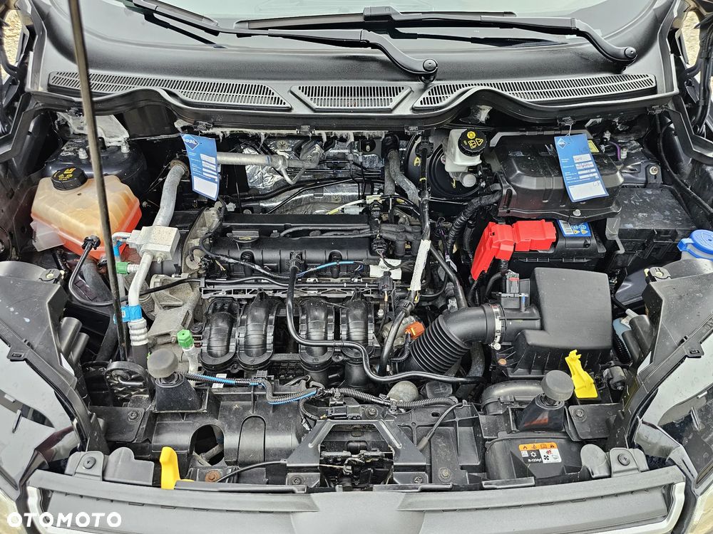 Ford EcoSport 1.5 Ti-VCT - 18