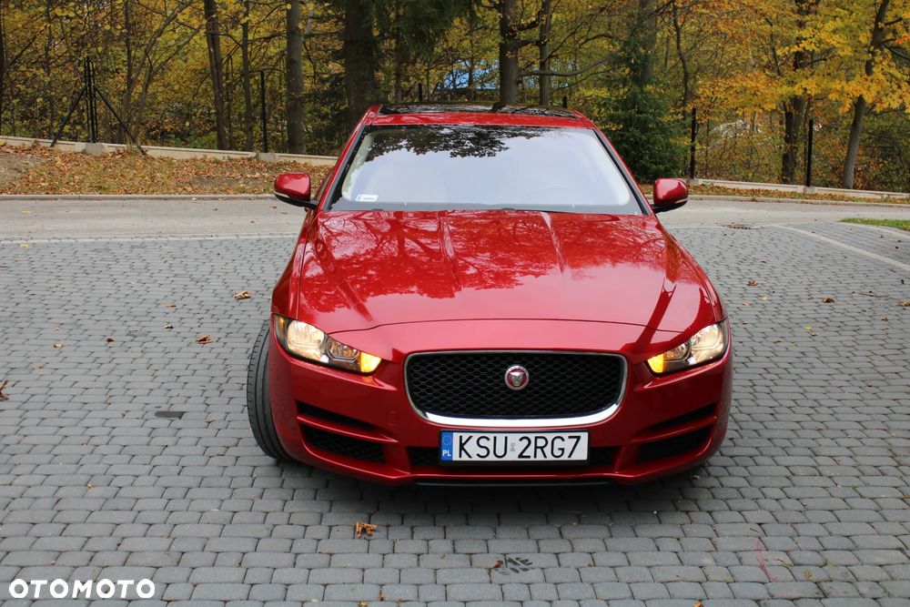 Jaguar Xe 2017 photo 2