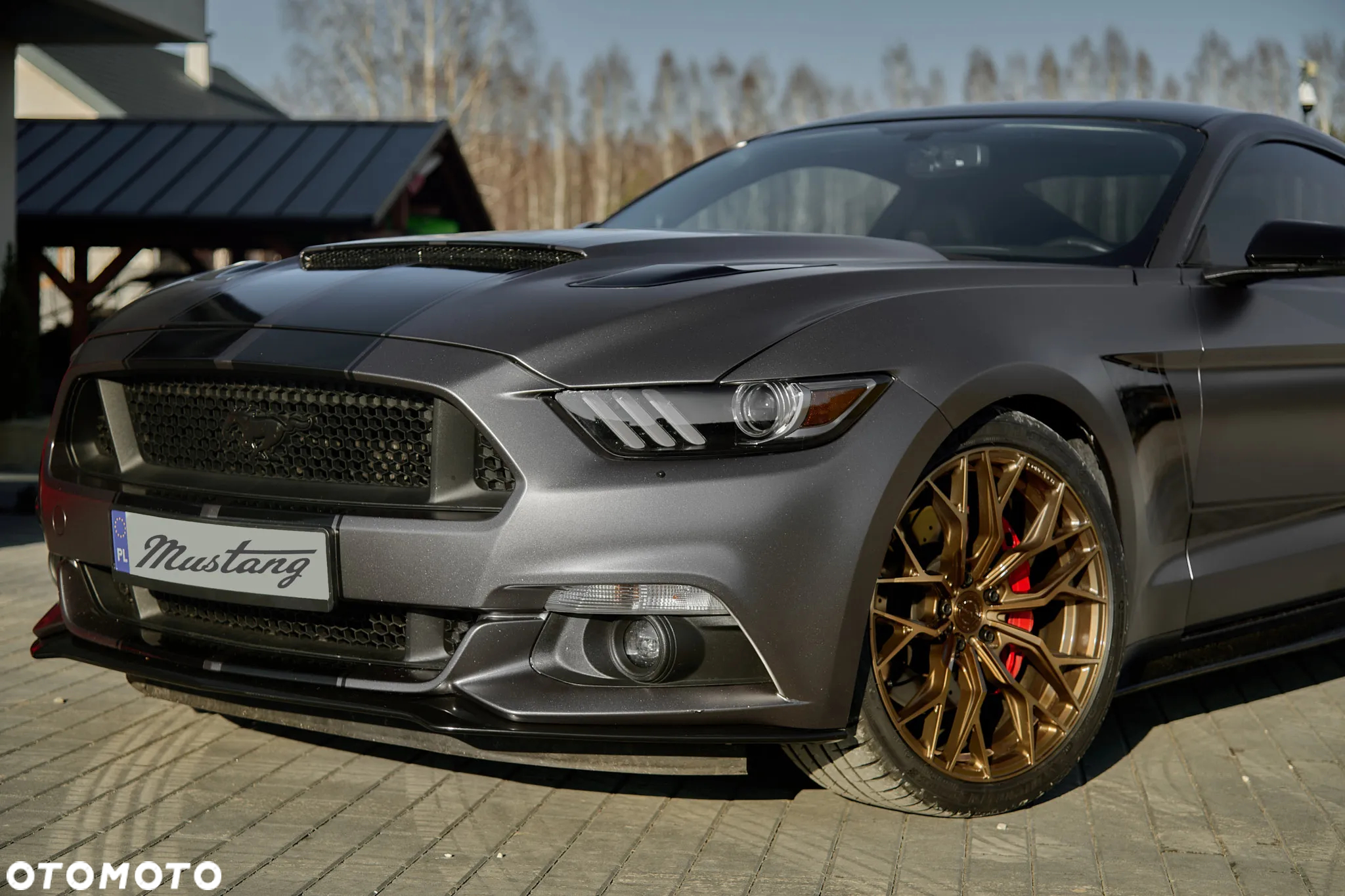 Ford Mustang - 4