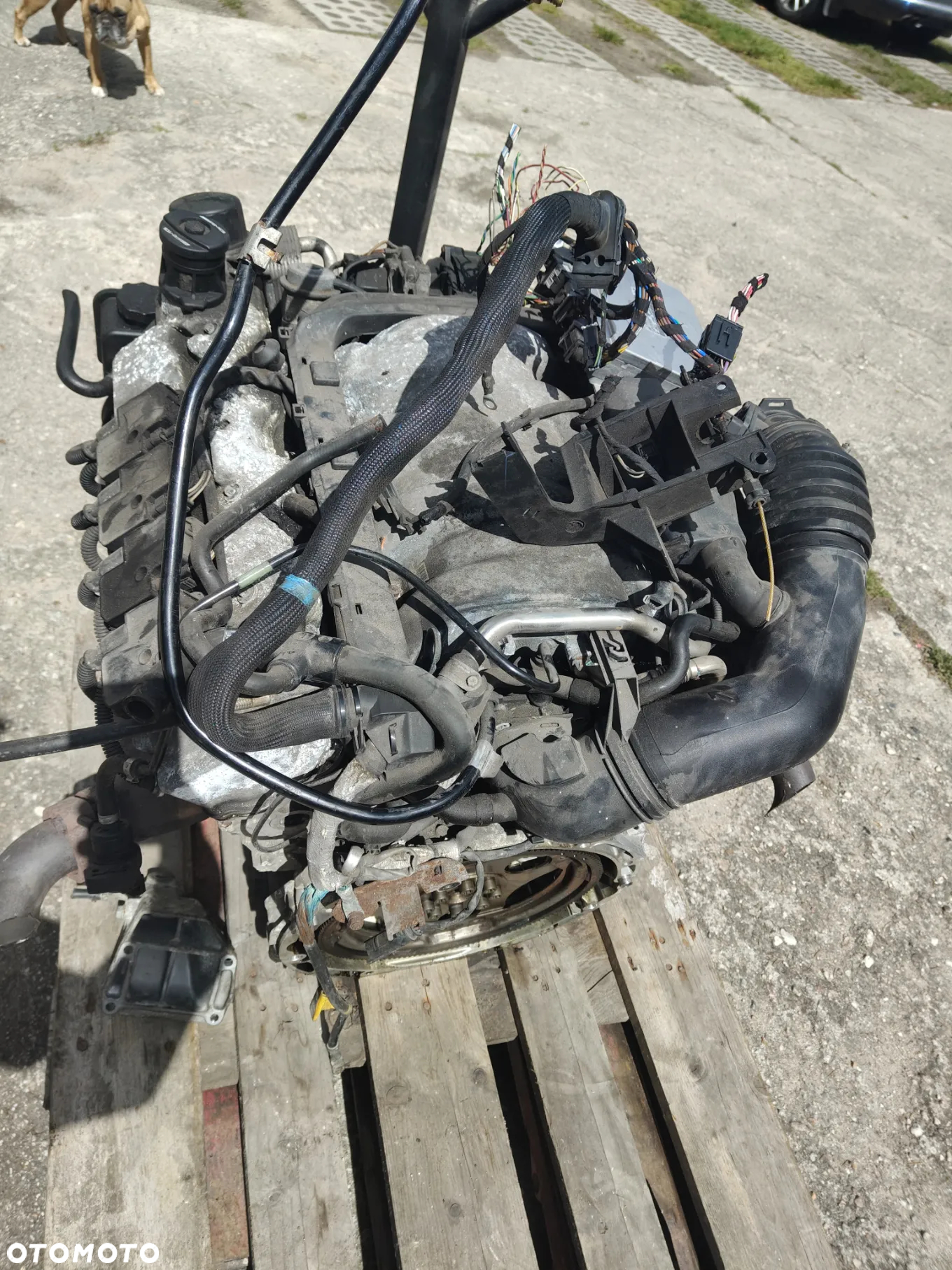 SILNIK KOMPLETNY SWAP Mercedes 5.5 AMG 113981 M113 Ml w163 w220 - 13