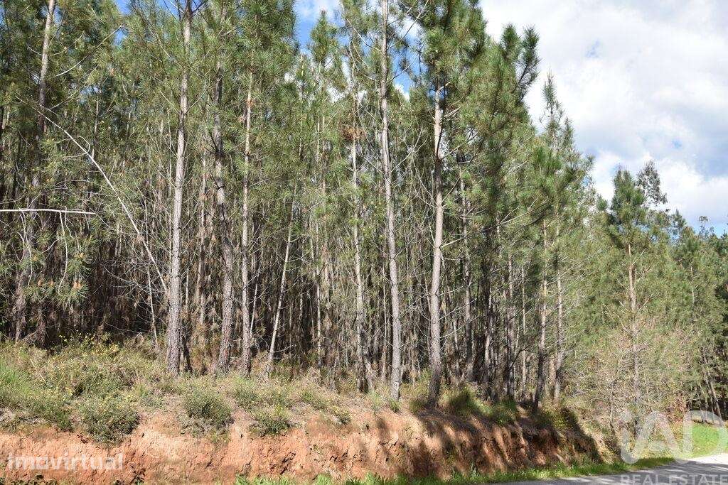 Terreno em Rio de Couros e Casal dos Bernardos de 3487,00 m2 - Grande imagem: 2/18