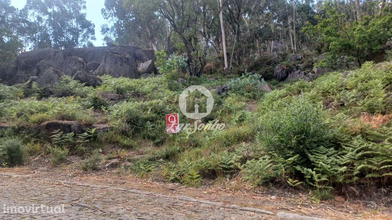 Bouça com 1500m2 em Oliveira Santa Maria - Grande imagem: 2/4