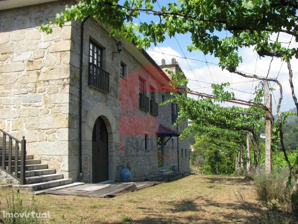 Vende-se Quinta, Coucieiro - Grande imagem: 3/54