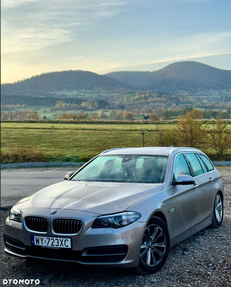 BMW Seria 5 520d Luxury Line - 5