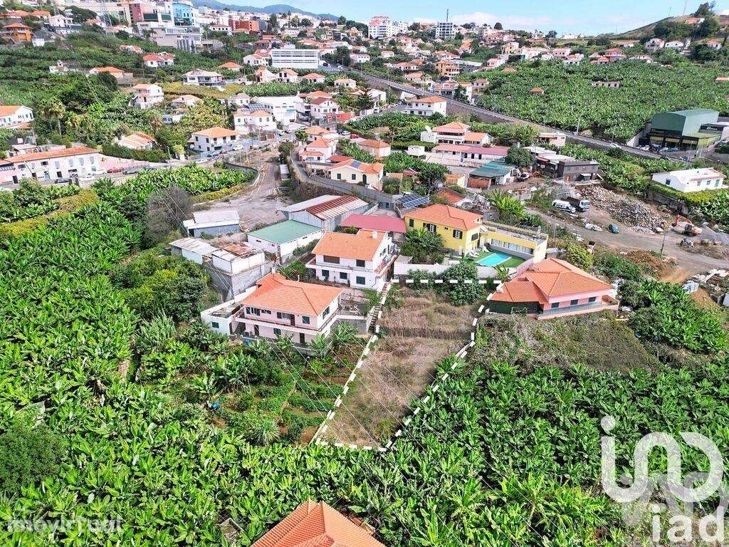 Terreno Agrícola em São Martinho - Grande imagem: 4/10