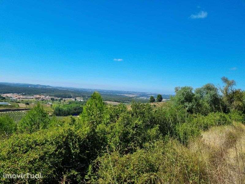 Terreno agricola e florestal - 2€/m2 - Grande imagem: 5/8