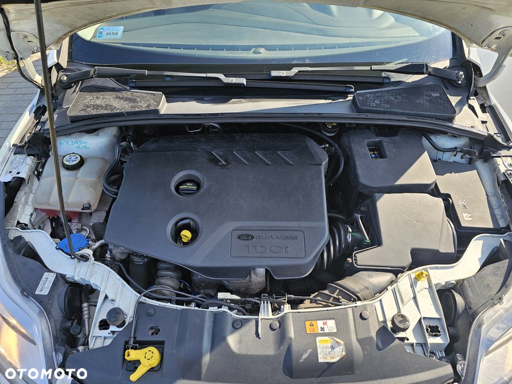 Ford Focus - 7