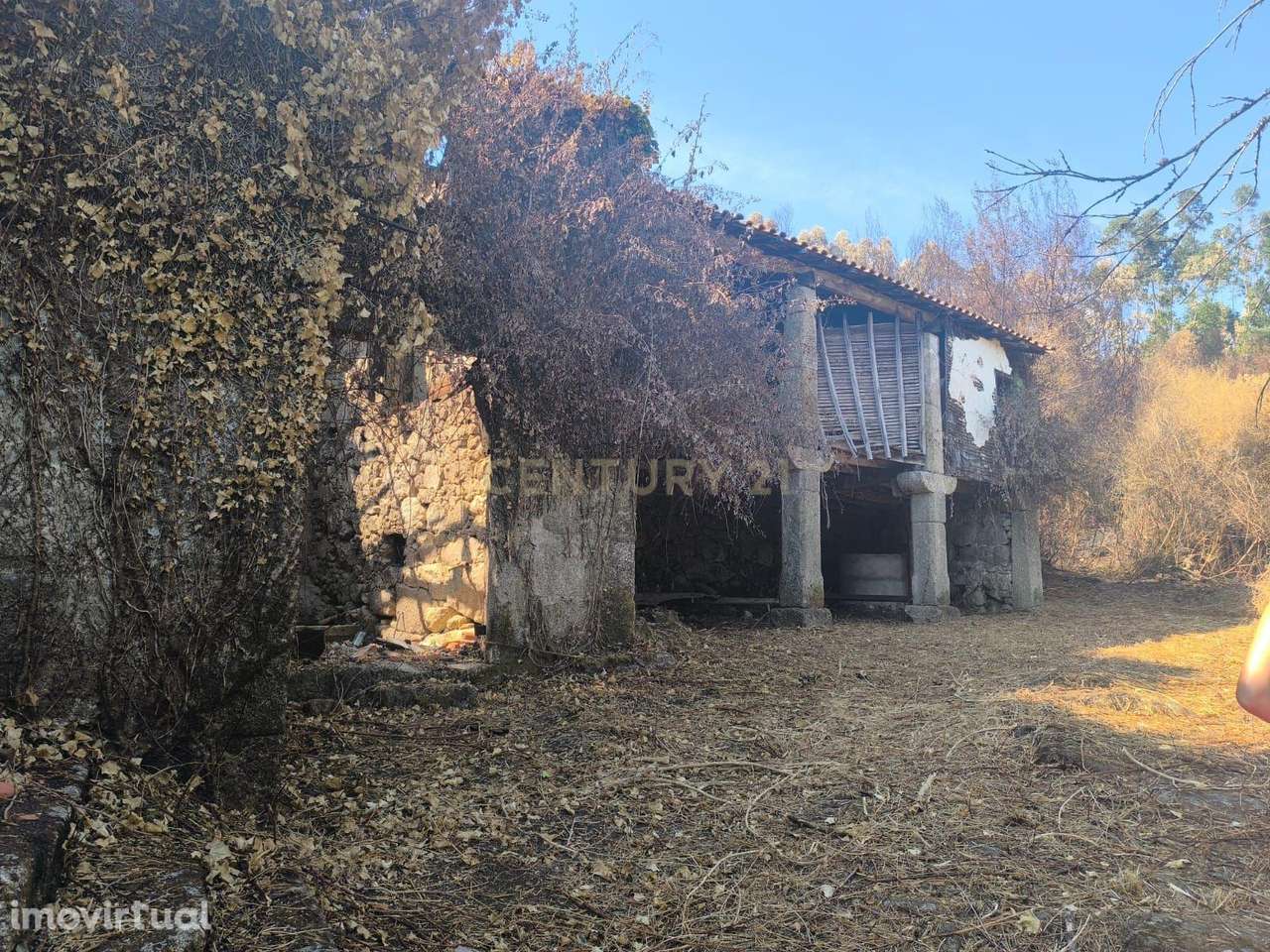 Quintinha com Moradia para Recuperar em Poiares, Ponte de Lima – Proje - Grande imagem: 3/39