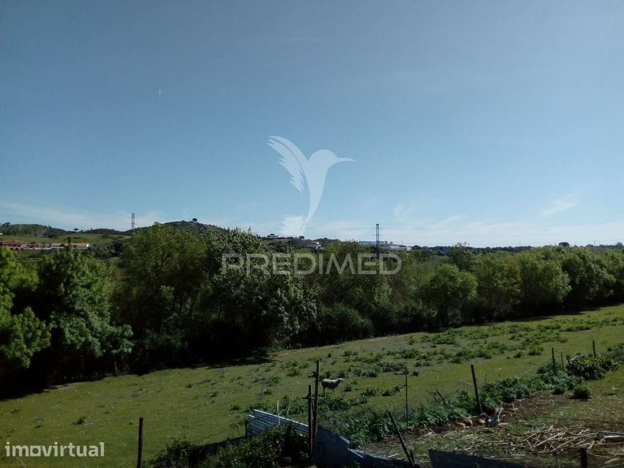 Quinta agrícola - Grande imagem: 4/32