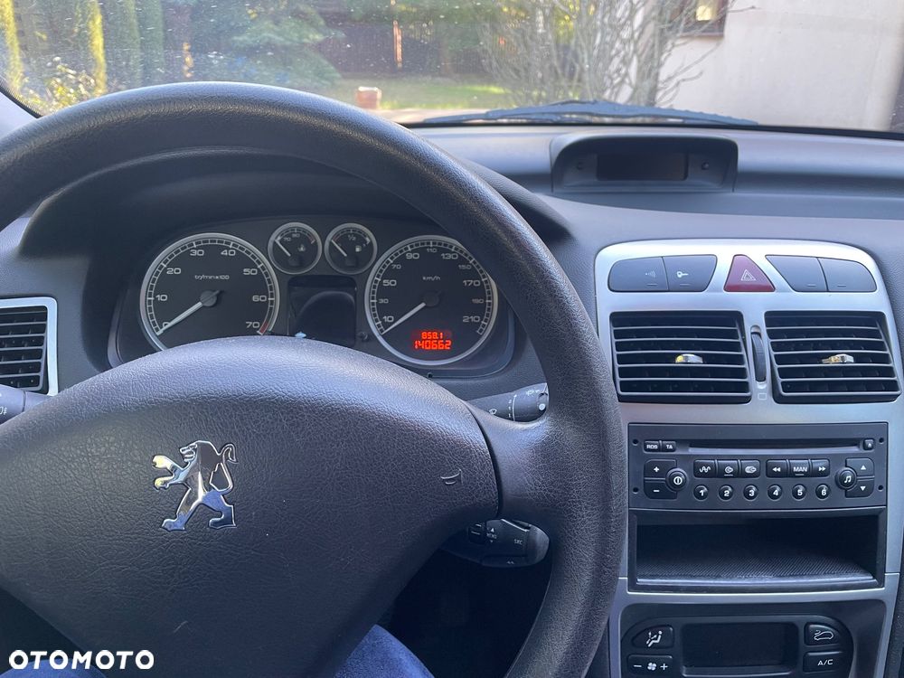 Peugeot 307 1.6 XS - 10