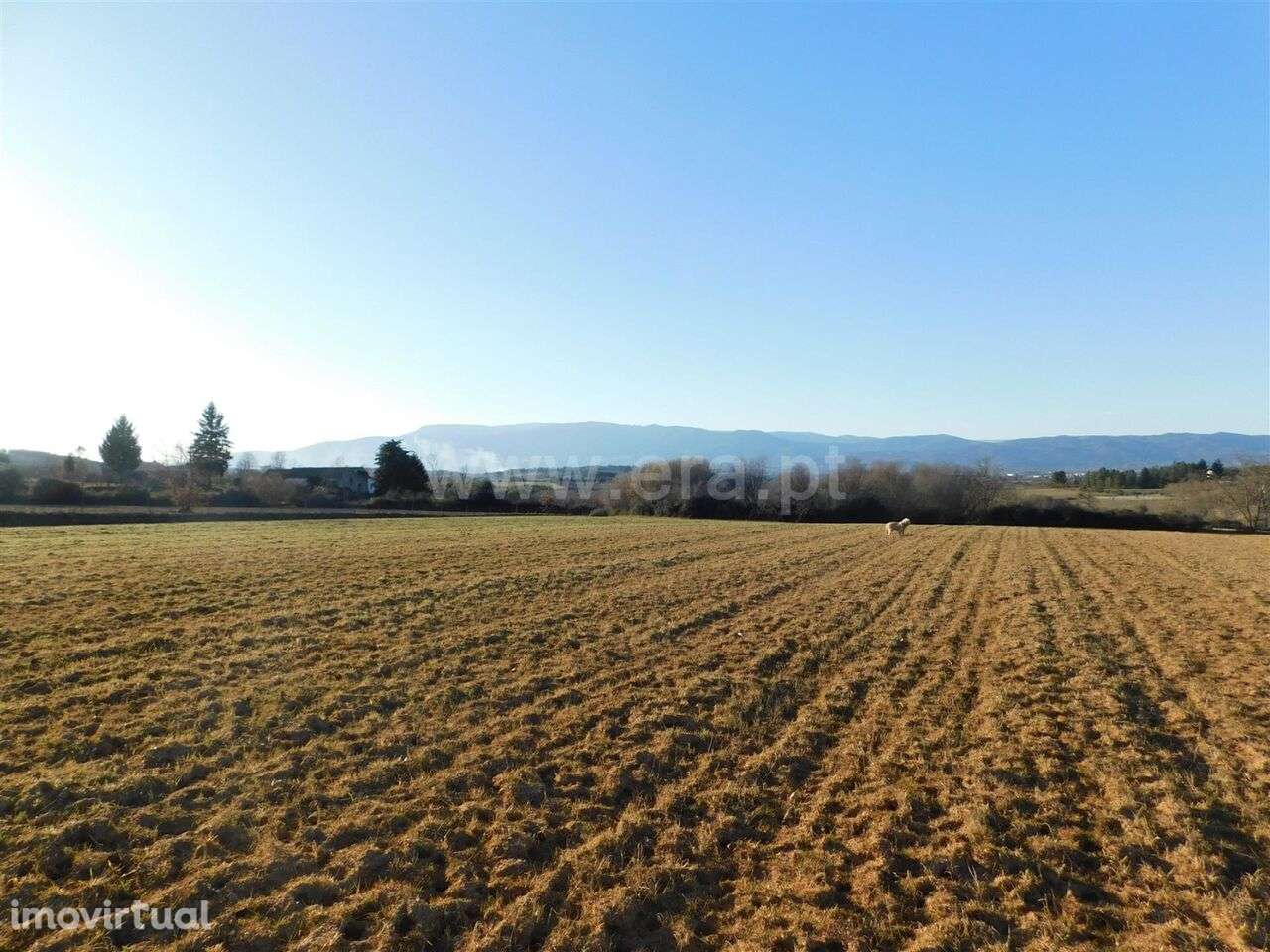 Terreno / Belmonte, Monte do Bispo - Grande imagem: 4/15