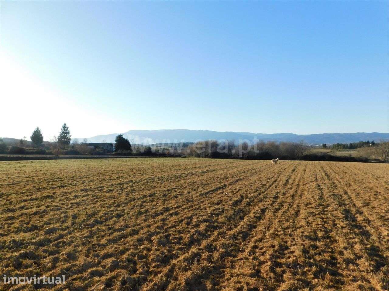 Terreno / Belmonte, Monte do Bispo - Grande imagem: 4/15