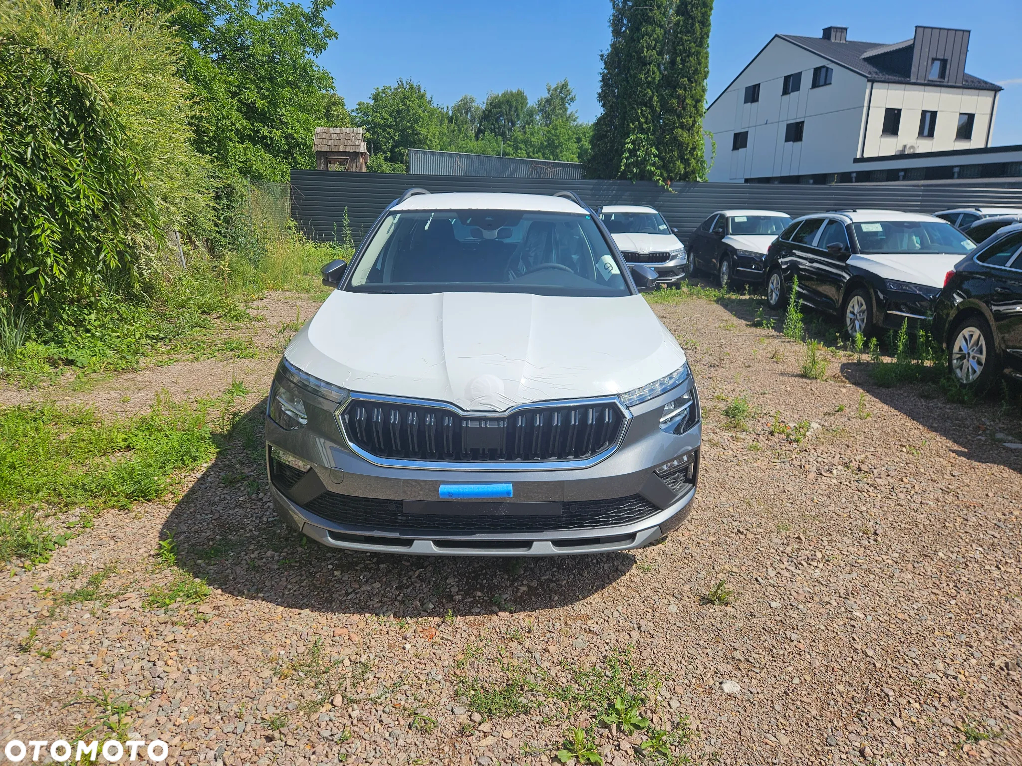 Skoda Kamiq 1.5 TSI Edition 130 DSG - 2