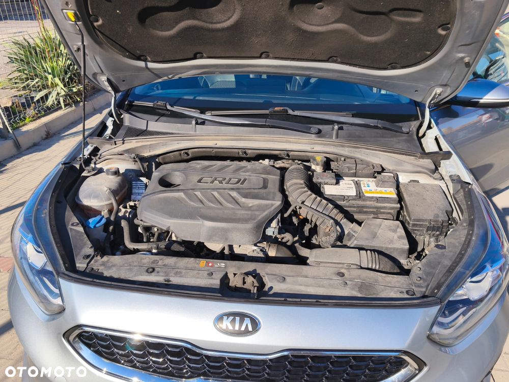 Kia Ceed 1.6 CRDi mHEV L Business Line - 15