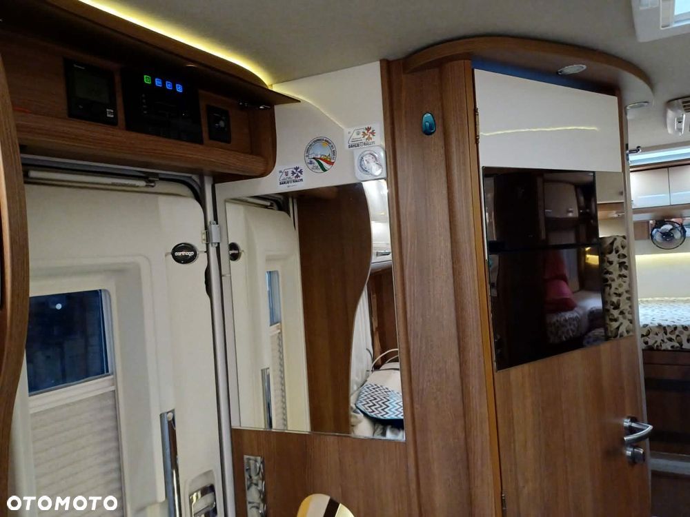 Carthago carthago - 6