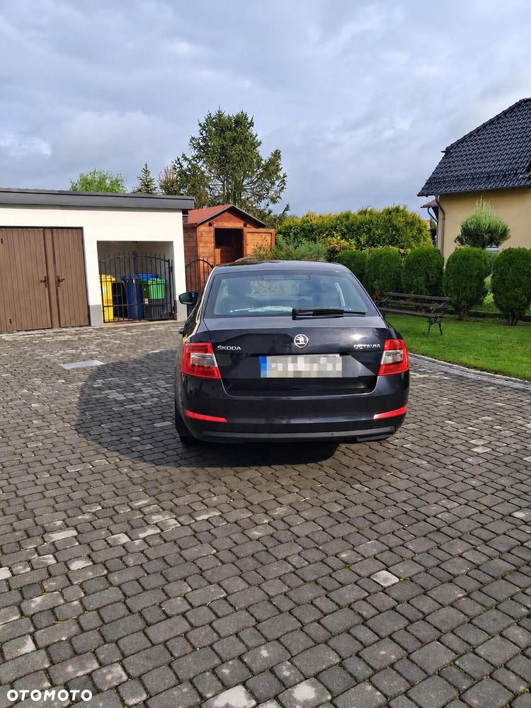 Skoda Octavia 2013 photo 5