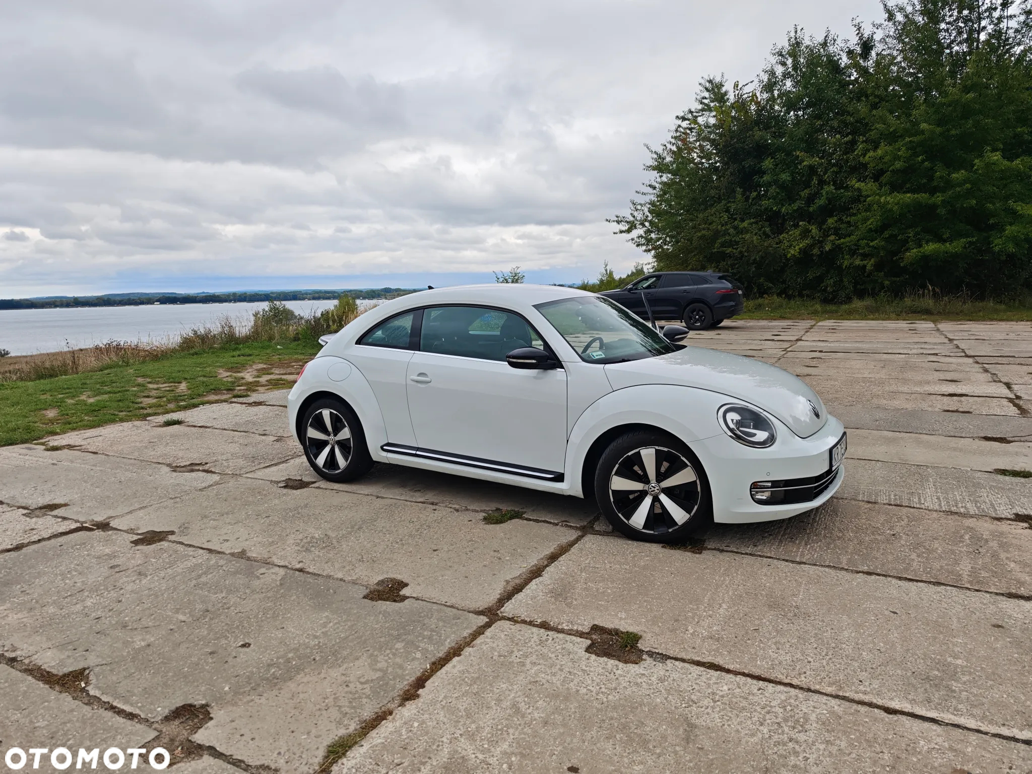 Volkswagen Beetle - 2