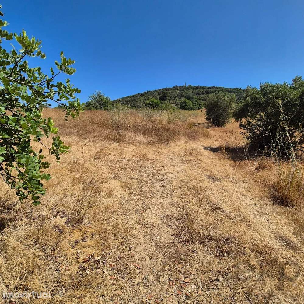 Terreno Rústico em Santa Bárbara de Nexe - Grande imagem: 2/6
