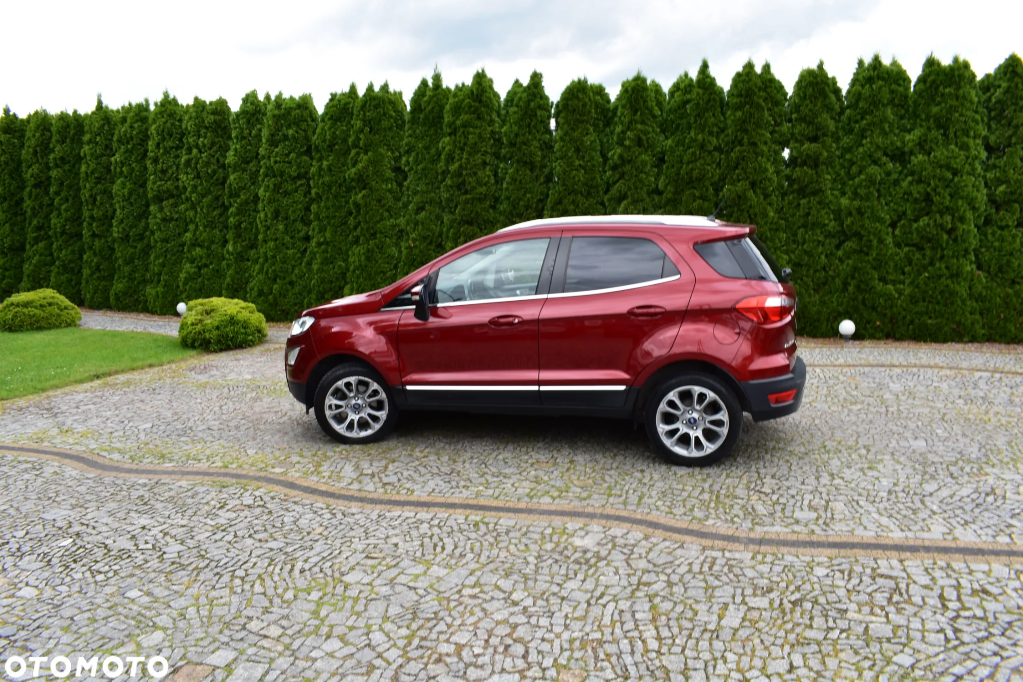 Ford EcoSport 1.0 EcoBoost GPF Titanium ASS - 19