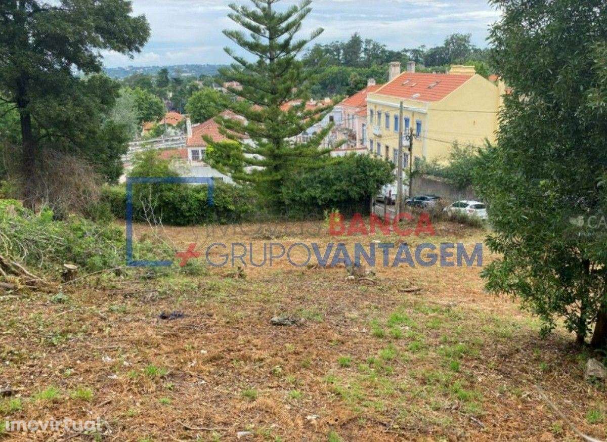 Terreno para construção - SINTRA - Grande imagem: 2/14