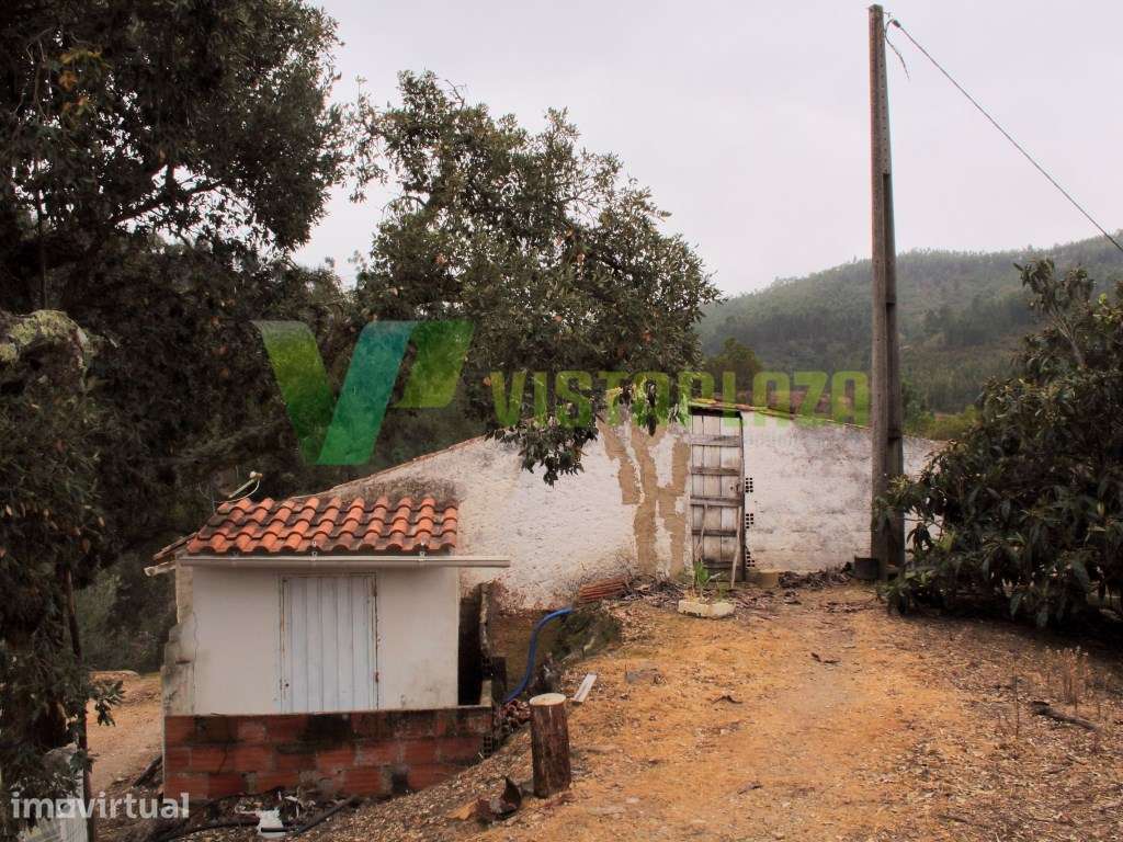Quinta em Monchique com Casa, antiga Taberna e Destilaria - Grande imagem: 5/28