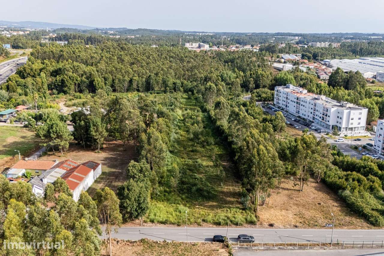 TERRENO - SANTA MARIA DE LAMAS - SANTA MARIA DA FEIRA - Grande imagem: 4/12